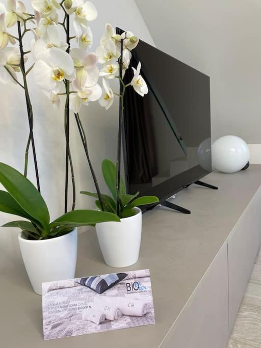 Queen Verona Luxury Apartment Eksteriør bilde